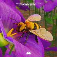 Candy Shop (Single)