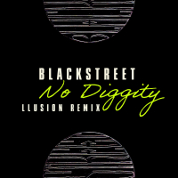 No Diggity (LLusion Remix) (Single)