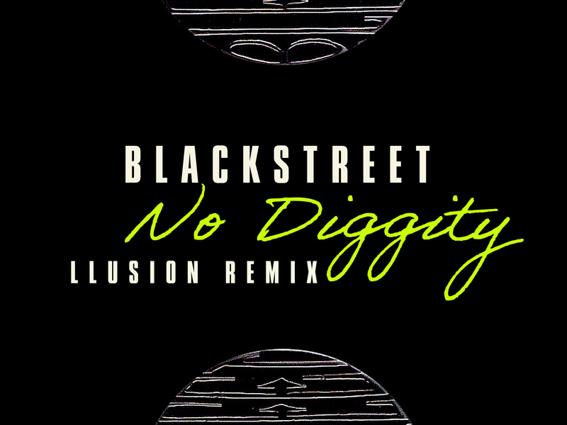 No Diggity (LLusion Remix) (Single)