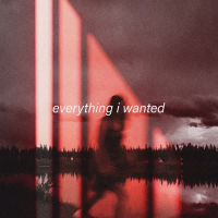 everything i wanted (Single)