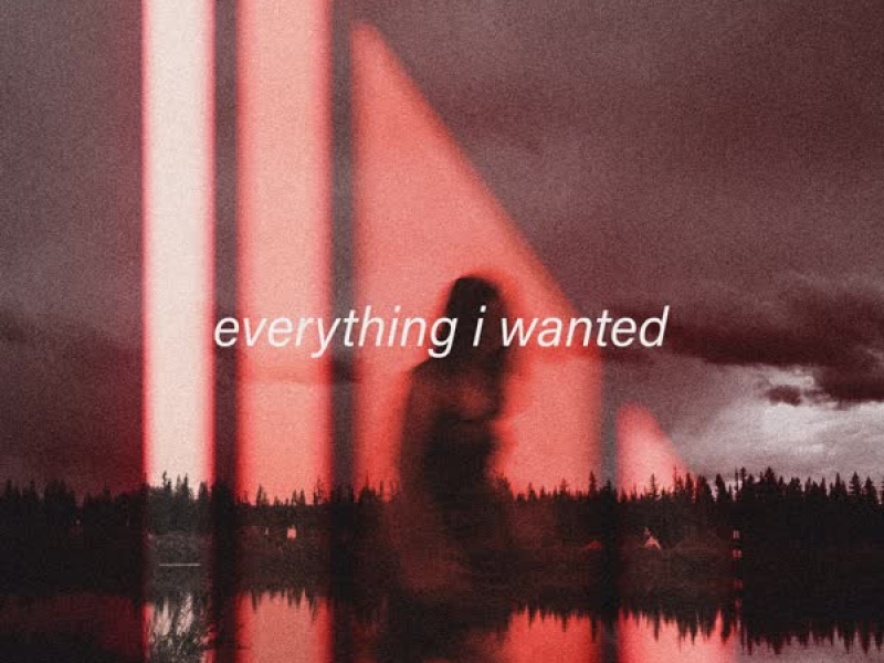 everything i wanted (Single)