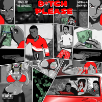 Bitch Please (Single)