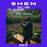 Too Much (feat. T-Pain) (Sped Up) (Single)
