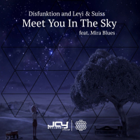 Meet You in the Sky (EP)