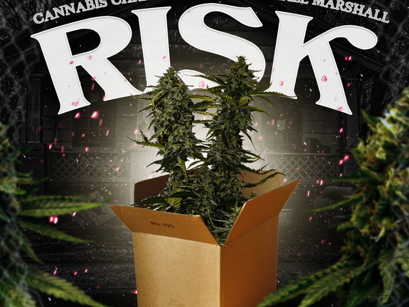 Risk (feat. Michael Marshall) (Single)