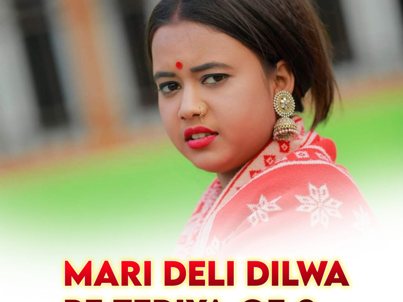 Mari Deli Dilwa Pe Teriya Ge 2 (Single)
