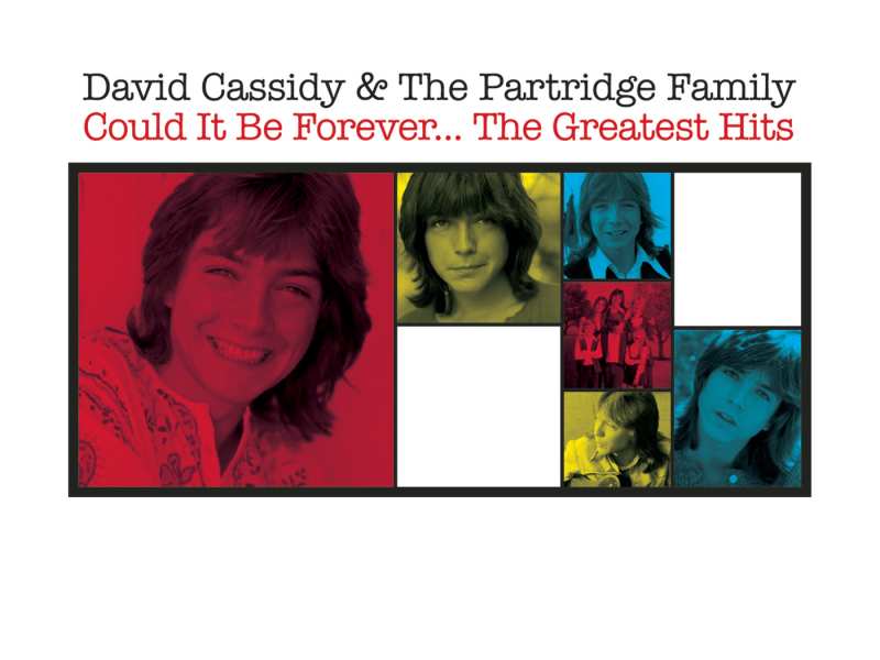 Could It Be Forever - The Greatest Hits