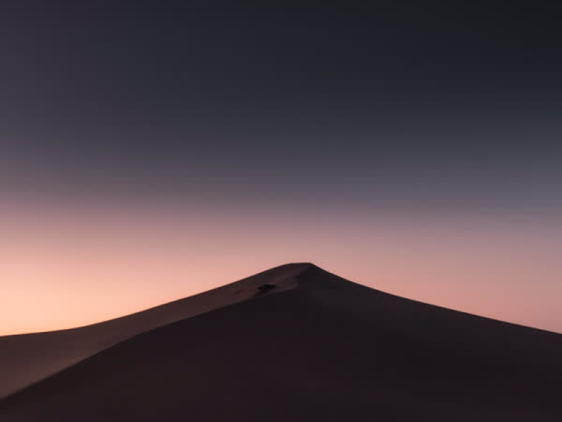 I Won't Leave Ya (Single)