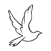 só  quero ter paz (Single)