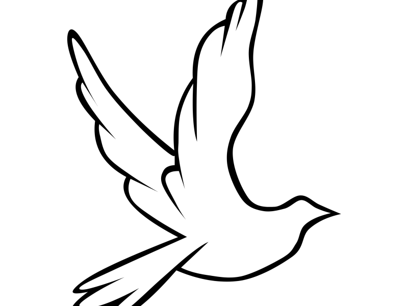 só  quero ter paz (Single)