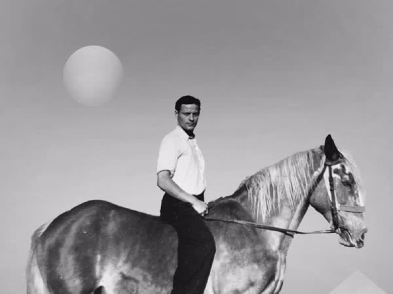 Warning Sign (Single)