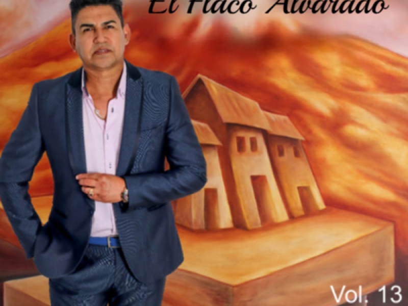 Ladrón de una Casada Vol. 13