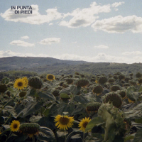 In punta di piedi (Single)