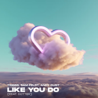 Like You Do (Single)