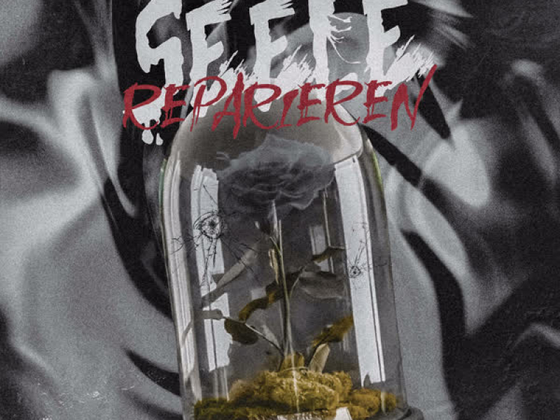 Seele reparieren (Single)