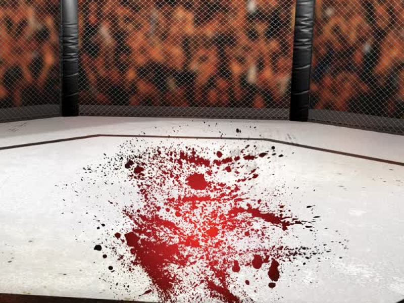 King Kong Vs Godzilla (Single)