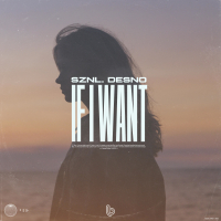 If I Want (Single)