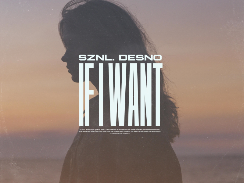 If I Want (Single)