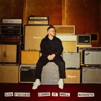 Carry It Well (Acoustic) (Single)