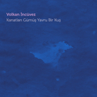 Kanatları Gümüş Yavru Bir Kuş (Canlı Akustik) (Single)