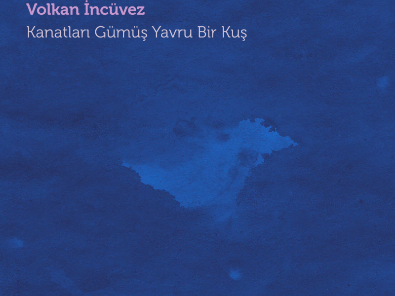 Kanatları Gümüş Yavru Bir Kuş (Canlı Akustik) (Single)