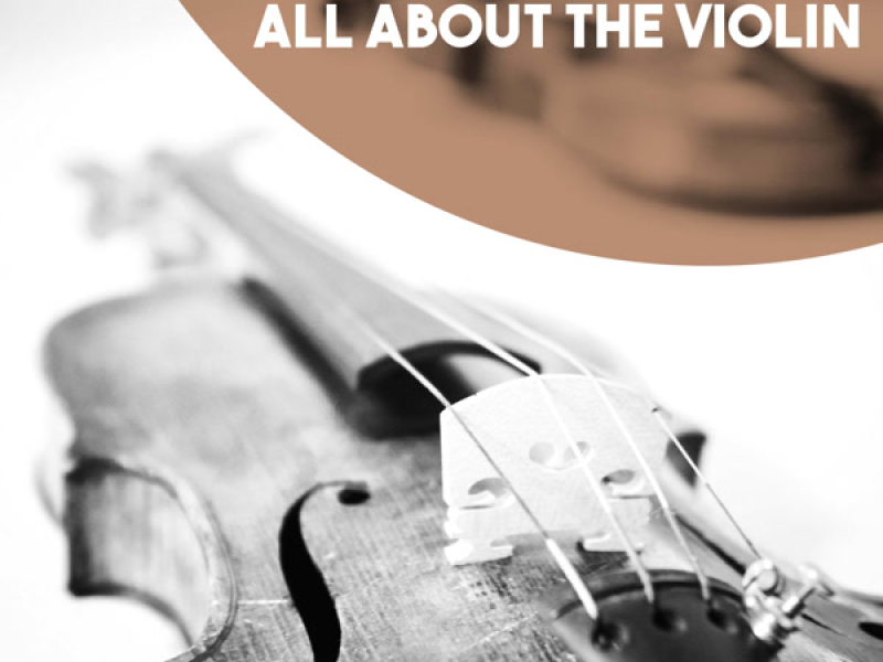 All About The Violin