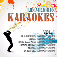 Los Mejores Karaokes Vol. 1