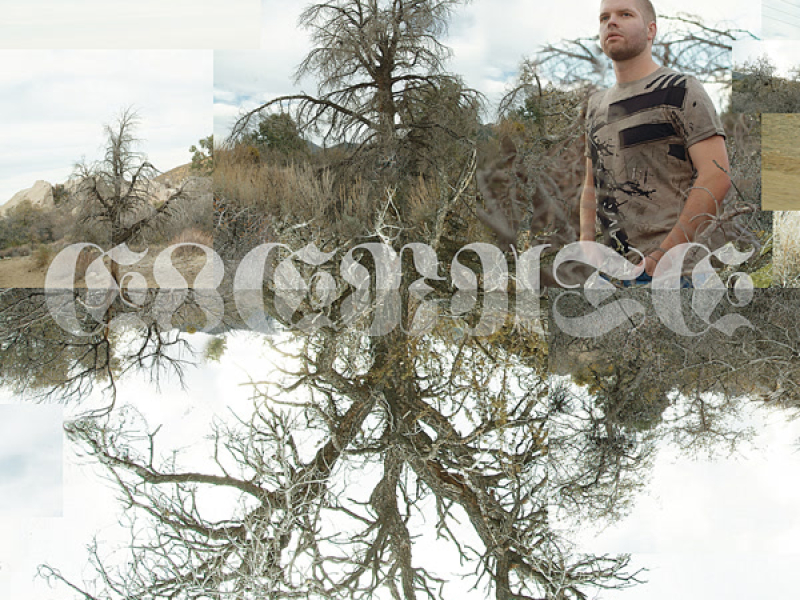 Elevate (Bonus Track Version)