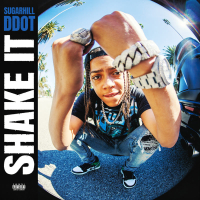 Shake It (Single)