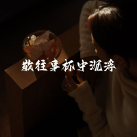 敬往事杯中沉浮 (相思无依语录版) (Single)