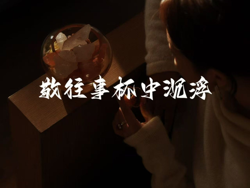 敬往事杯中沉浮 (相思无依语录版) (Single)