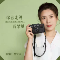 你已走进我的梦 (Single)