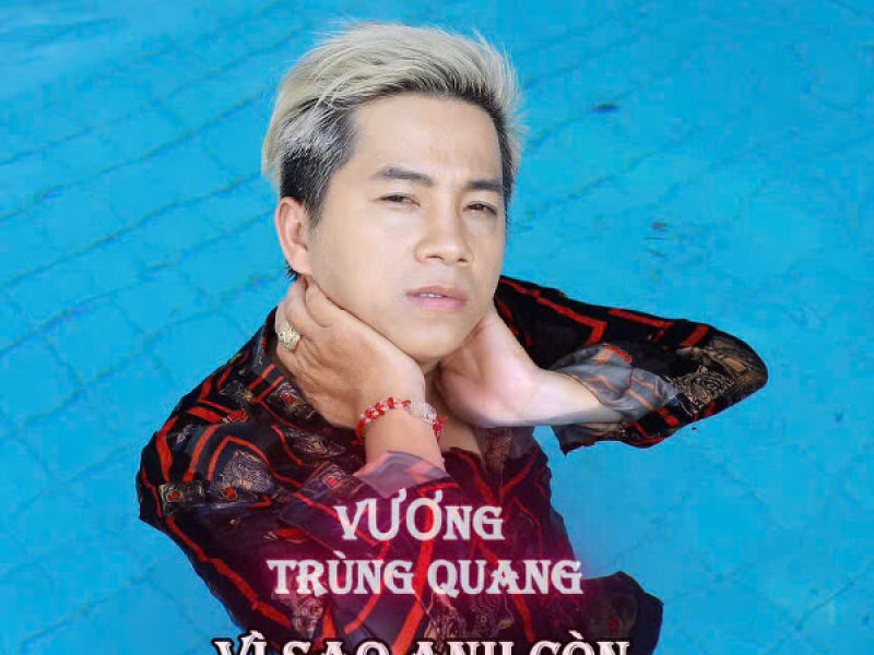 Vì Sao Anh Còn Thương Em (Single)