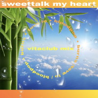 Sweettalk my Heart (BloodPop® & BURNS Vitaclub Remix) (Single)