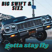 Gotta Stay Fly (Single)