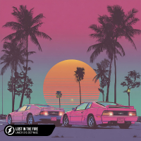 Lost In The Fire (Single)