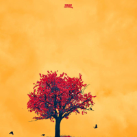 blooming dreams (Single)