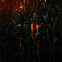 GOOD MOURNING (Single)