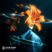 I Say Way Too Much (Single)