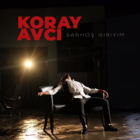 Sarhoş Gibiyim (Single)