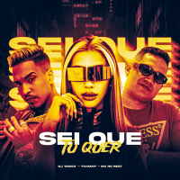 SEI QUE TU QUER (Single)