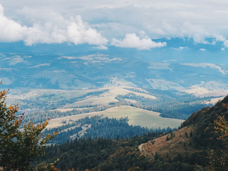 Ways of Seeing (Single)