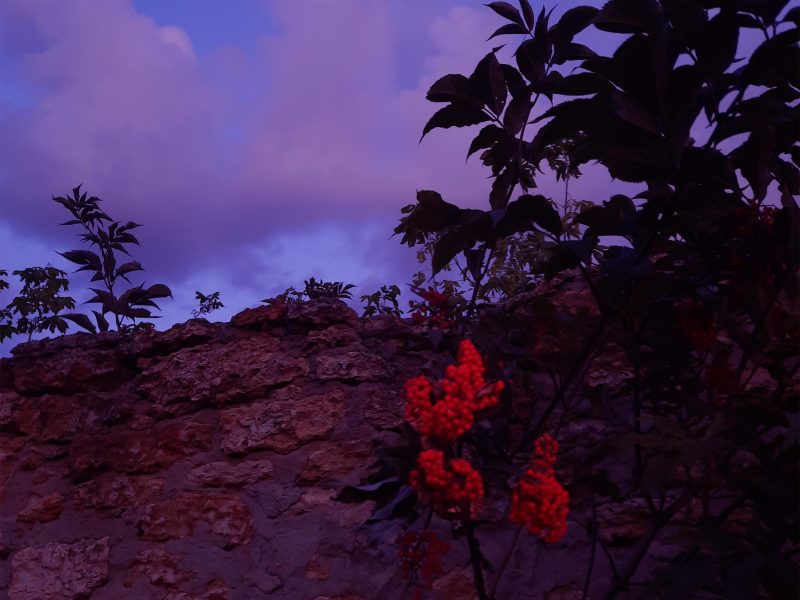 FORGIVENESS (Single)