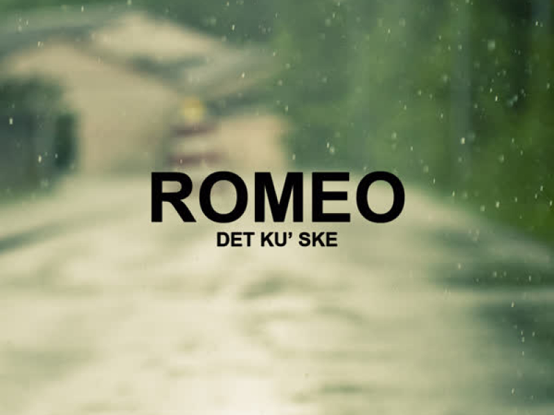 Det Ku' Ske (Single)