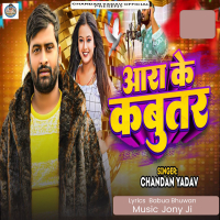 Aara Ke Kabutar (Single)