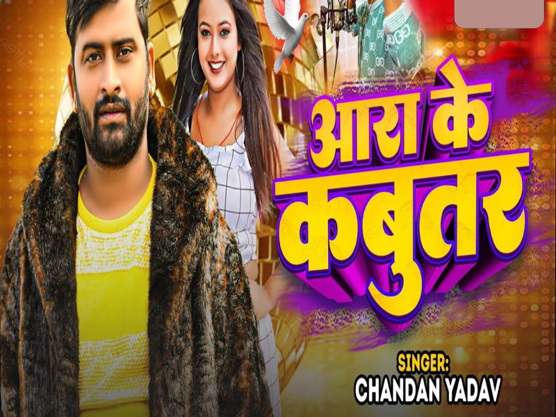 Aara Ke Kabutar (Single)