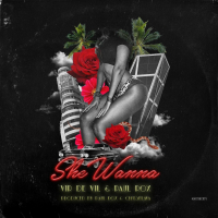She Wanna (feat. Vir de Vil) (Single)