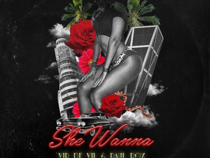 She Wanna (feat. Vir de Vil) (Single)