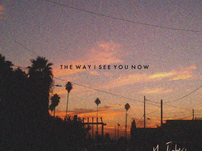 The Way I See You Now (Single)