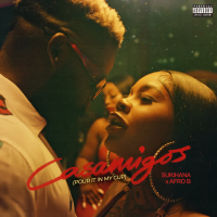 Casamigos (Pour It In My Cup) (Single)